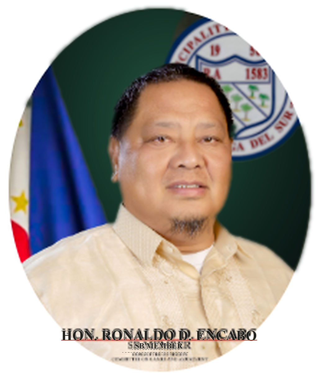 Hon. Ronaldo D. Encabo - SB Member